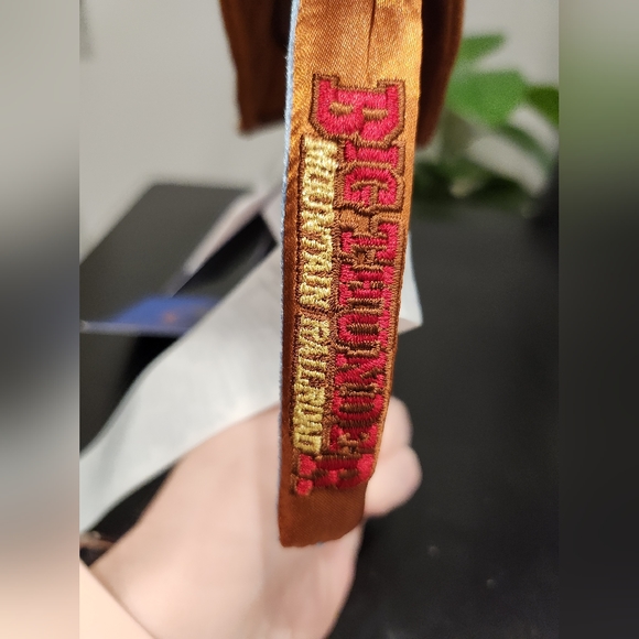 NWT Big Thunder Mountain Mickey Ears - Picture 5 of 5